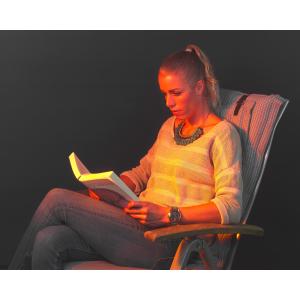 Golden 2000 Amber Smart terrasverwarmer