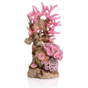 Uitgebreid Orthodox Het begin BiOrb ornament koraalrif roze aquarium decoratie | Tuinexpress.nl