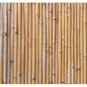 Bamboerolscherm naturel 180 x 100 cm x 18-20 mm