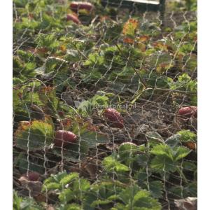 Tuinnet grofmazig Tuinnet grofmazig