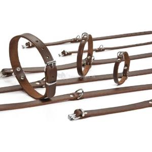 Lederen honden halsband bruin Lederen honden halsband bruin