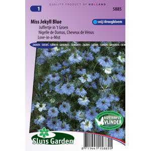 Juffertje in ’t Groen bloemzaden – Miss Jekyll Blue Juffertje in ’t Groen bloemzaden – Miss Jekyll Blue