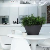 Wonen