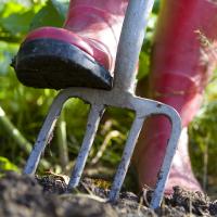 Tuinonderhoud