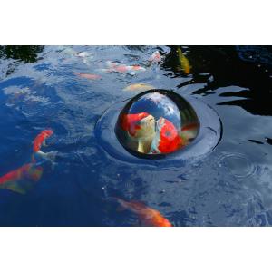 Floating Fish Dome klein